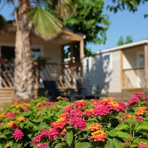  Camping Camping El Pinar Espagne